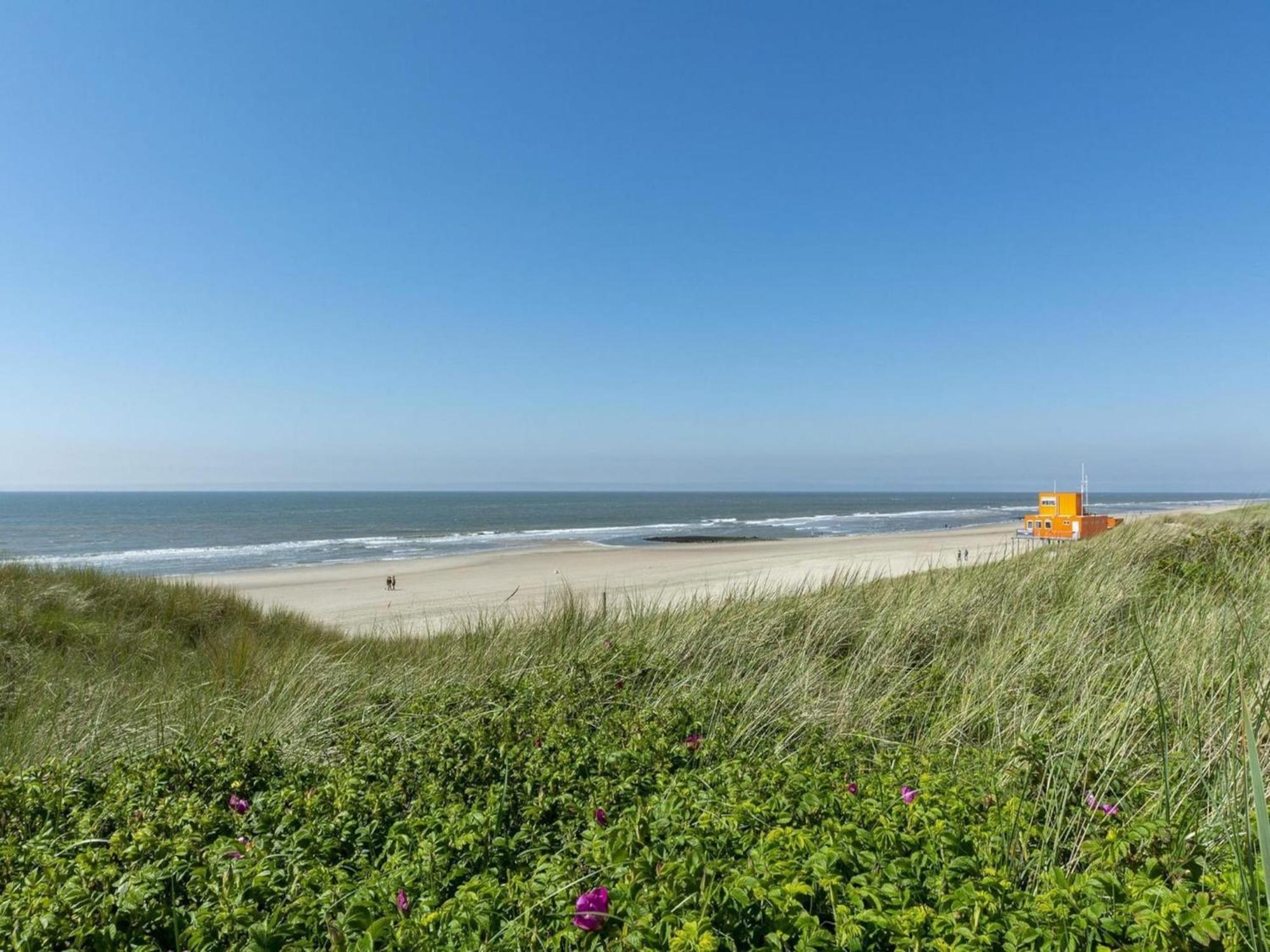 Alluring Seaside Holiday Home Callantsoog Dış mekan fotoğraf
